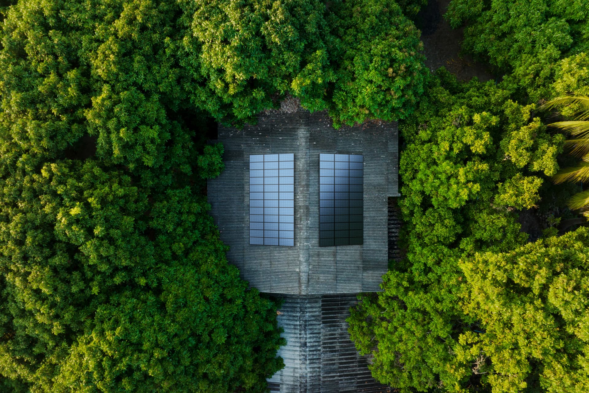 Vista dall’alto di una casa immersa nel verde con pannelli solari